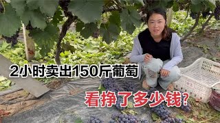 媳妇摘150斤葡萄摆摊，老公却愁卖不出去，结果2个小时被抢光