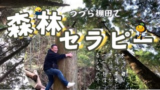 【癒し】森林セラピー体験でめっちゃ癒されました！（うきは市つづら棚田）