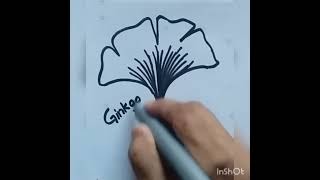 Draw Ginkgo Leaf in easy way/#inshort #ginkgo #leaf #easydrawingideas/Haa-Meem 4science