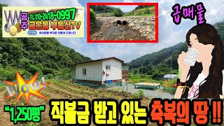 공주금은동부동산TV 774번..충남 공주시 유구읍 명곡리..2,462㎡ (약 745평)에 국유지 500평까지~맑은 시냇물이 더위를 식혀주고 직불금까지 받고 있는 천혜의 땅..!!