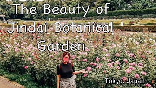 Beautiful Plants and Flowers of Jindai Botanical Garden|Travel Silent Vlog