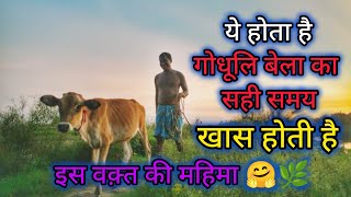 गोधूलि बेला का महत्व // कब से कब तक 🌿🤗🐄🐂🐤🐔🐤 #godhuli