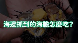 海邊抓到的海膽怎麼吃？