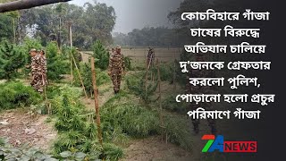 COOCHBEHAR-এ WEED চাষের বিরুদ্ধে অভিযান চালিয়ে, পোড়ানো হলো প্রচুর পরিমাণে গাঁজা