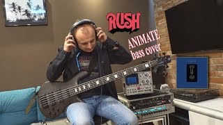 RUSH - Animate  (bass cover) / Spector bass