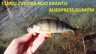 Ešerių žvejyba nuo kranto jig'u su aliexpress gumom