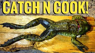 Catch And Cook Bullfrog! -Junkyard Fox