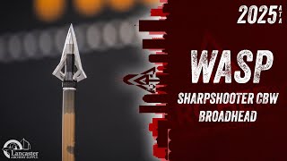 Wasp Sharpshooter CBW Broadhead: Cuts Both Ways!