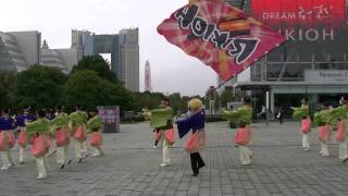 ドリームよさこい2010　RIKIOH　石と光の広場会場