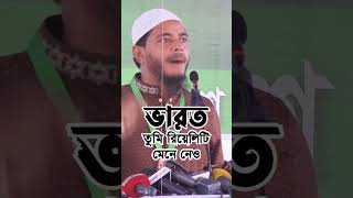 ভারত, তুমি রিয়েলিটি মেনে নেও, তোমার বারোটা বেজে গেছে - ড.  শফিকুল ইসলাম মাসুদ।