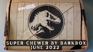 Super Chewer by Barkbox: June 2022