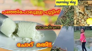 How To Make Kerala Puttu With Leftover Rice / ബാക്കിയായ ചോറുകൊണ്ട് softപുട്ടുണ്ടാക്കാം!!/ TastyZests