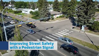 Pedestrian Signals | Safe Crossings Program