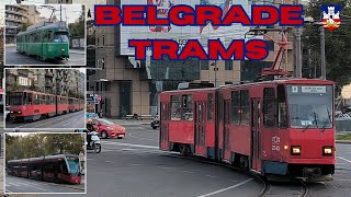 Beautiful red TRAMS in BELGRADE 🇷🇸 - 4K