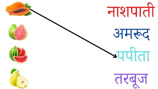 fruits worksheets in hindi | EVS worksheet for lkg ukg class | gk worksheet | fruits name