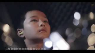 洋蔥   TF家族