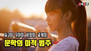 문학의 미적 범주, 아직 잘 모르시겠다면 이 영상을 보세요!! [새벽공부 with 빅균]