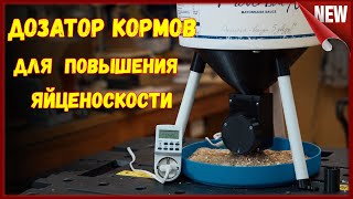 Бункерная кормушка для кур с автоматической подачей корма.