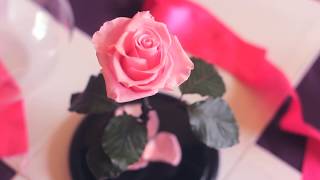 Уникальные живые розы в колбе от бренда Exclusive Rose