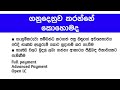 sri lankan export process අපනයන ක්‍රියාවලිය step by step for small business entrepreneur s export