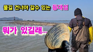 한번은 가보고 싶었던 태안 유명 해루질 포인트 등대섬