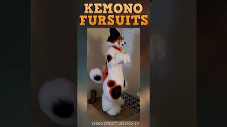 Kemono Fursuits