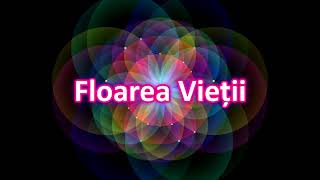 Meditația Floarea Vieții - Romanian promotional video