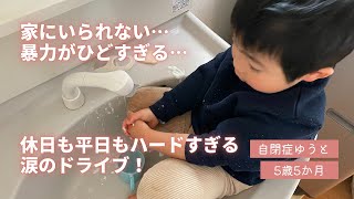 【発達凸凹育児】家にいられない！暴力もひどい！休日も平日もハードすぎる…涙のドライブ