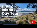 Bruny Island Day Tour Lighthouse, Gourmet Food & Sightseeing with Bruny Island Safaris