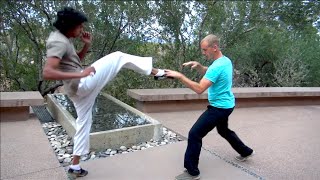Real Tai Chi Fighting - Ride the Tiger