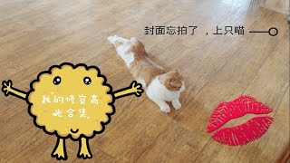 【sunny】我的修容高光合集|2018