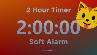 2 Hour Timer (with Soft Alarm Sound) for Sleep and Relaxation