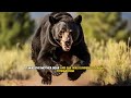 full man saved the bear cub but mother bear did something shocking