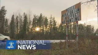 Moose population survey taking place in Algonquin communities | APTN News