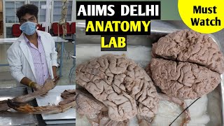 AIIMS DELHI Anatomy Hall