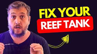 3 Big Mistakes That RUIN Your Reef Tank!