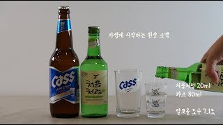 소맥 어디까지 마셔봤니 '소맥'의 모든 것 1편 | Sooljjan 술짠