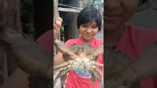 সমুদ্র কাঁকড়া/ সমুদ্রের রাজা কাঁকড়া 🦀🦀 কিভাবে ধরলো? SEA KING CRAB ♋♋ # YOUTUBE VIDEO.# SANTRAZA #