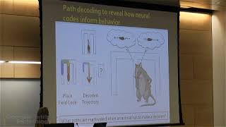 Hippocampal Codes in Spatial Memory and Alzheimer’s Disease