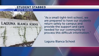 Teen accused of stabbing Laguna Blanca classmate