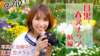 【α7IV】TOKYO CAMERA WALK 071「春の目黒、街スナップ撮影」東京カメラ第71歩前編 写真家 加藤ゆか sony a7ivとα7Cで初心者カメラ上達講座 【レビュー】