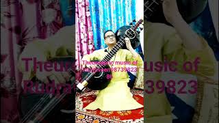 Healing theuropatic music from Rudraveen #shorts#viralvideos 9873982386