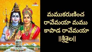 ఝమ్మంది నాదం పాట స్టైల్ #divotional శివనిపాట|🙏| #ఓంనమఃశివాయ #divotional #bagana song |🙏🙏