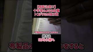 【閲覧注意！】十字架模様のトコジラミの血糞と抜け殻 #shorts