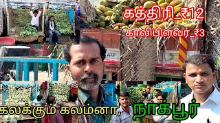 மொத்த விலை காய்கறி மார்க்கெட், கலக்கும் கலம்னா, நாக்பூர்.@deejayfarming8335