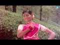 malenada henna mai banna video song bhootayyana maga ayyu dr.vishnuvardhan bhavani