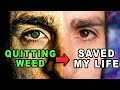 I quit smoking weed 180 days ago.. Here's what I've noticed so far