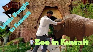 zoo in Kuwait -Little Jungle in Kuwait