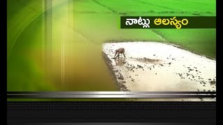 Jai Kisan AP - 29th Jun 2016 - తూర్పు గోదావరి జిల్లాలో ఆలస్యంగా వరిసాగు