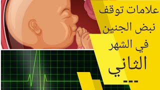 علامات توقف نبض الجنين في الشهر الثاني من الحمل | ما الأعراض التي توحي بتوقف نبض الجنين؟